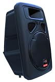 E-Lektron JP30 DJ PA Lautsprecher Box Passiv 30CM/12 Basslautsprecher