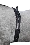 HKM 12701 Longiergurt Canvas, Fester Doppelgriff Longierbedarf Schwarz...