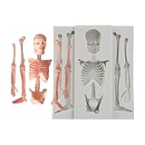 Schädel-Harzform | Halloween Silikonformen, Fondantformen | Vielseitige...