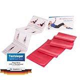 TheraBand Original Fitnessband – 2,5m Resistance Band für...