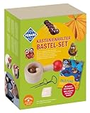 Pebaro Set Kastanienbohrer 5 Kastanien Bastelset, Kastanienhalter, 2...