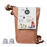CUP VERDE – 80 SENZA koffeinfreie Kaffeekapseln kompatibel mit...