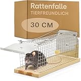 Praknu Rattenfalle Lebendfalle 30 cm Groß aus FSC® Holz - Tierfreundlich...