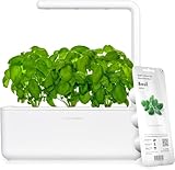 Click and Grow Growbox, Smart Garden, einfacher als Hydroponisches...