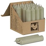 Kurze Stabkerzen Eukalyptus Grün - 25 Stück 100 x 22 mm durchgehend...