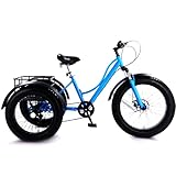 DHsdlpLU 24 3 Rad Elektrodreirad FüR Senioren Zoll Klappbar Dreirad 3 Rad...