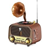 PRUNUS J-190 Retro Radio Klein AM/FM/SW, Nostalgie Radio mit Akku 1800mAh,...