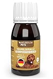 NATUREFLOW Teufelskralle für Hunde 100ml Flüssig - Made in Germany,...