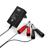 ANSMANN Batterie Ladegerät 2V/6V/12V mit Erhaltungsladung zum Einlagern...