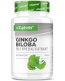 Ginkgo Biloba 6000 mg - 365 Tabletten – Premium Extrakt: Mit...