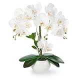 PASCH® Orchideen künstlich in Hochglanz-Keramiktopf (40cm) | Kunstblumen...