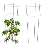 Relaxdays Rankhilfe 2er Set, Metall und Kunststoff, 76 cm hoch, 3...