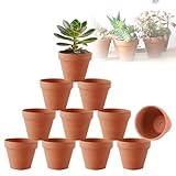 Abiemuce 10 Stück 10 X 8 cm Tontöpfe Klein mit Abflussloch, DIY Tontöpfe...