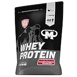 Mammut Nutrition Whey Protein, Strawberry Cheesecake Chocolate Chips,...