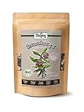 Biojoy BIO-Beinwellwurzel (100 g), getrocknet und geschnitten, Beinwell-Tee...