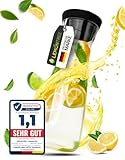 Lemontree Glaskaraffe mit Deckel 1l - Wasserkaraffe für kalte & heiße...