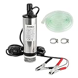 Edelstahl Transfer Pumpe 12V Φ51mm Wasserpumpe Tauchpumpe für Auto Diesel...