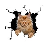 Katzen-Auto-Aufkleber und Aufkleber, rissiger Aufkleber mit realistischem...