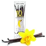 Native Vanilla - Tahitianische Vanilleschoten für Vanilleextrakt 10 Stück...