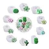 10 Stück Kerzen Silikonformen, Kaktus Pflanze Silikonformen Gießformen,...