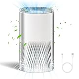 Luftreiniger H13 HEPA Filter Ionisator Raumluftreiniger Allergiker 99,97%...