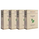 HANSE PRO Kernseife – Naturseife auf Pflanzenölbasis, vegane &...