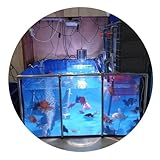 Geräumiger PVC-Fischteich mit Stahlrahmen und klarem Sichtfenster, ideales...
