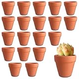 DYOUen 20 Pcs Terrakotta Töpfe 3.5x3 cm Mini Pflanzen Töpfe Keramik...