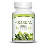 FUCOIDAN MTS 85 Meeresalgen Wakame Extrakt, 60 Kapseln,500 mg,...