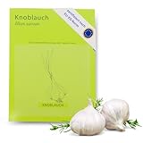 HAVENHAUS Knoblauch Samen zur Anzucht | Allium Sativum Knoblauchsamen 50...