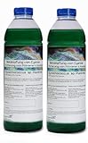 Plankton24 PhytoPlankton Synechococcus sp. (2 Liter) Cyano Stopp Fütterung...
