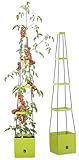 Royal Gardineer Tomatenturm: 2er-Set Pflanz-Türme mit Rankhilfe für...