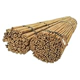 DIXIE STORE Bambusstangen | Bambusstangen Set Blumenstützen | Robuste...