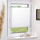 Plissee Klemmfix ohne Bohren Weiß 80x120cm(BxH) Plissees lichtdurchlässig...