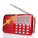 Raddy RF23 Tragbar Radio Klein AM/FM Kurzwellenempfänger MP3 Musik Player,...