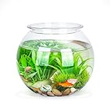 Nobleza - Kugelaquarium Bruchsicherer Kunststoff Fischschale, ideal für...