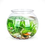 Nobleza - Kugelaquarium Bruchsicherer Kunststoff Fischschale, ideal für...