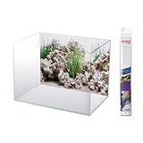 AMTRA Wonder - Aquarium Poster Hintergrund, Aquarium Dekoration, Deko...