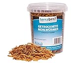 Terrabest 520ml getrocknete Mehlwürmer Premium Qualität Reptilienfutter,...