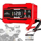 12 Volt Batterie Ladegerät - 12V6A Impulsreparatur Trinkhalter |...