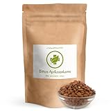 Bittere Aprikosenkerne - 500 g - Saatgut - Sehr hoher Amygdalin-Anteil -...