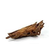 Bachflohkrebse Mangrovenwurzel für Aquarien und Terrarien 12-15 cm Wurzel...