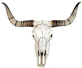 Veronese Design Bullenschädel Longhorn Schädel Skull Totenschädel...