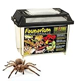 Exo Terra Faunarium, Allzweckbehälter für Reptilien, Amphibien, Mäuse...