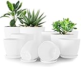 Utopia Home 10er-Pack Blumentopf 18/17/15/13/12 cm Übertopf mit Untertasse...