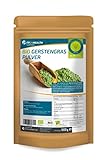 FP24 Health Gerstengras Pulver Bio 1000g - Laborgeprüft - 1kg...