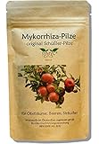 Mykorrhiza-Pilz Konzentrat für Obstbäume und Sträucher - original...