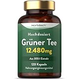 Grüntee Extrakt 12480 mg pro Tagesdosis | 120 Pulver Kapseln | Hochdosiert...