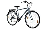 Rezzak 28 Zoll Fahrrad Herrenfahrrad City Bike Cityrad Damenfahrrad...