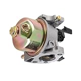 Tihebeyan 2-kW-Vergaser für GX160-GX200-Motor, Komplettes Kit für...